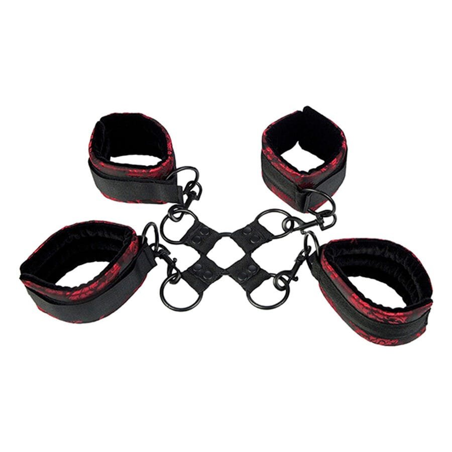 CALEXOTICS - SCANDAL ALGEMAS HOG TIE